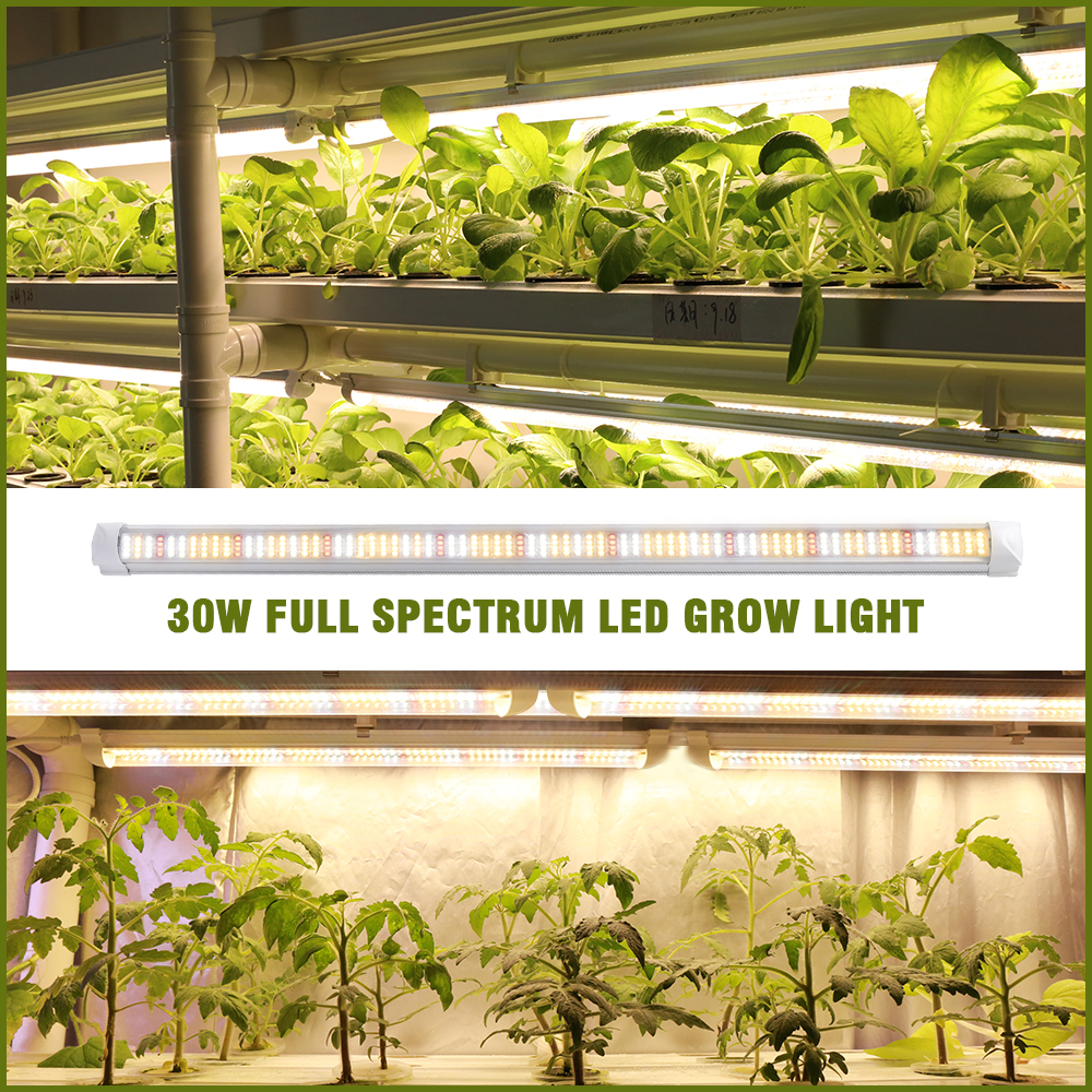 Sinjialight 0.6m 30W warm white T8 led grow tube ZW0350