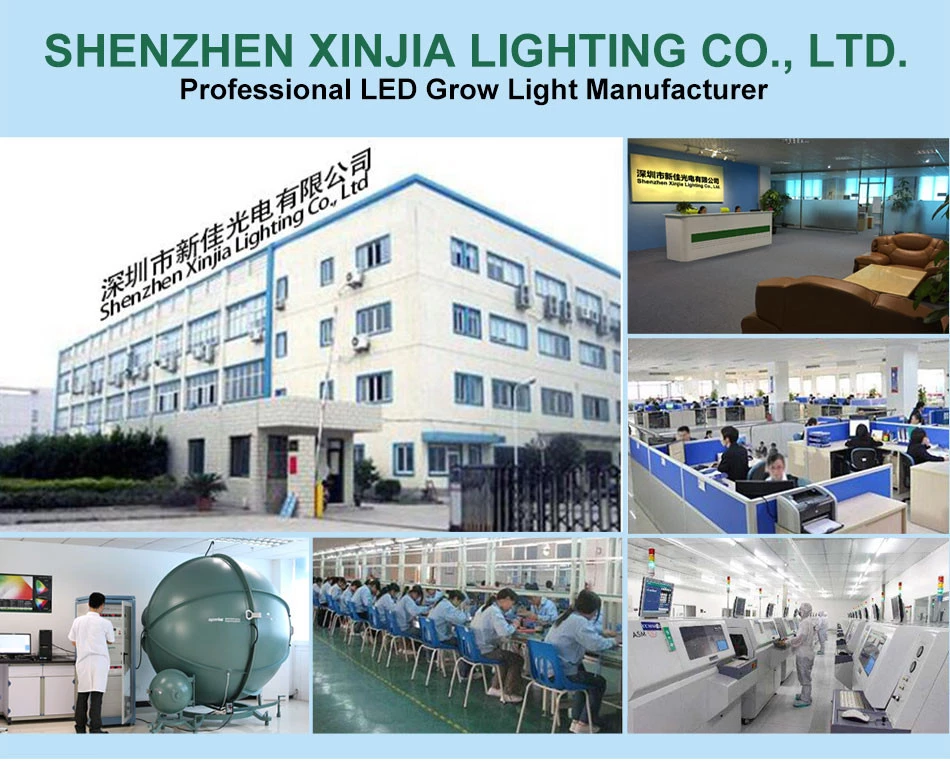 Opened a new factory in Huizhou