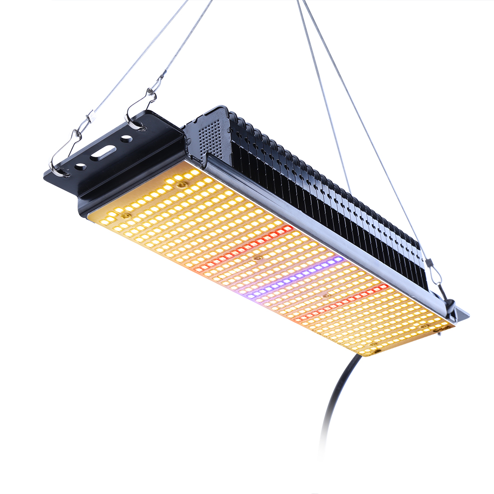 300W Full Spectrum Warm White Led Grow Light ZW0341