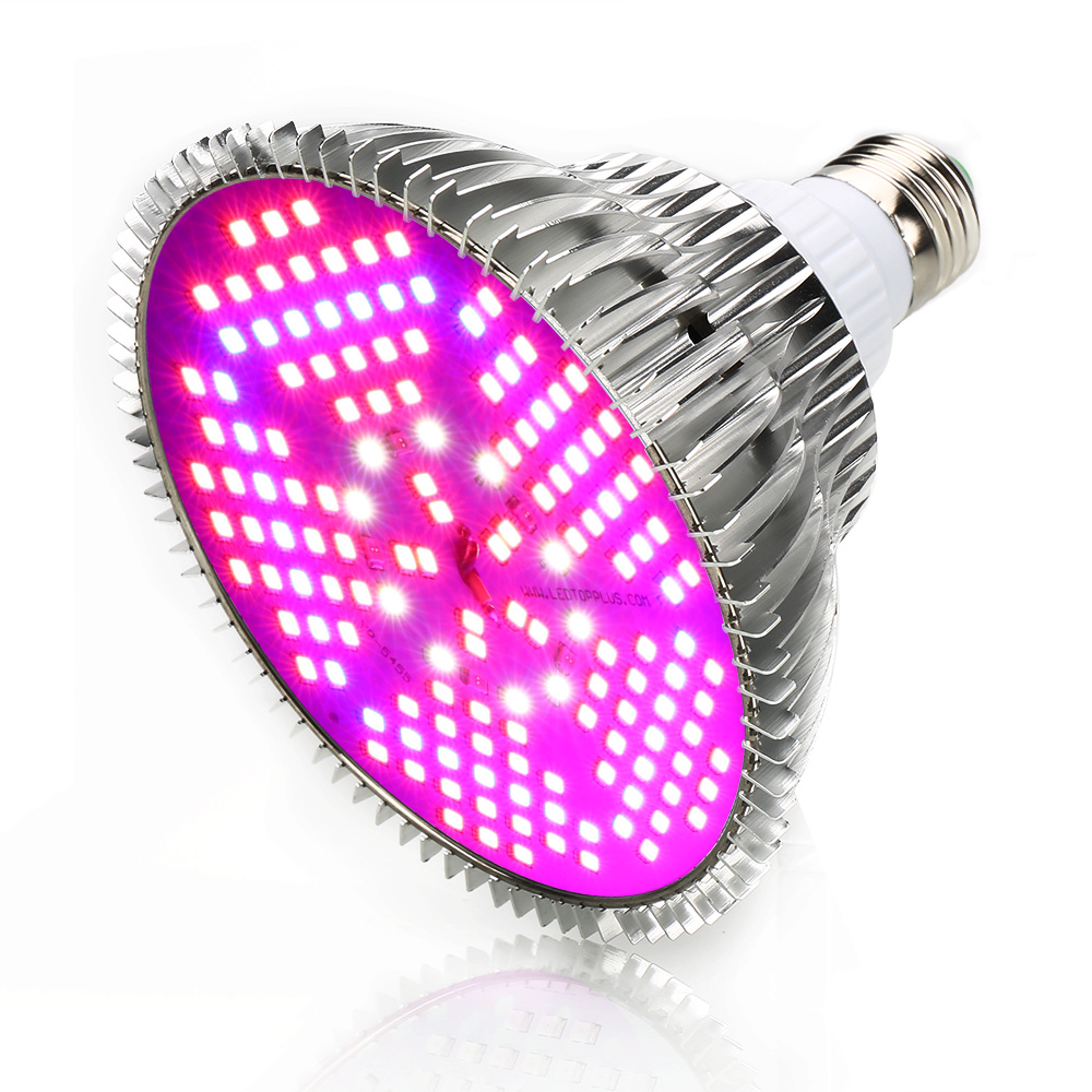 100W E27 Full Spectrum Led Grow Light ZW0190